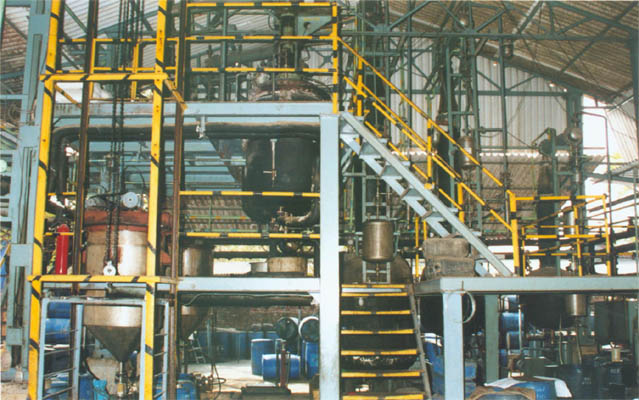 Full Plant View
